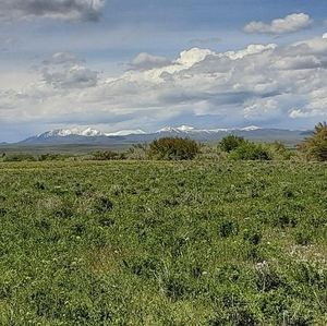 Meet your Posher, Dianne